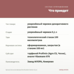 Хризантема мультифлора Branfountain Salmon (0,1л) — что приедет
