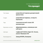 Хризантема мультифлора Brannobless White (0,1л) — что приедет