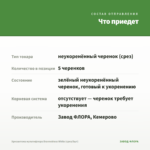Хризантема мультифлора Brannobless White (срез/5шт) — что приедет