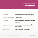 Хризантема мультифлора Branqueen Pink (срез/5шт) — что приедет