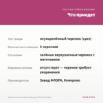 Хризантема мультифлора Branqueen Pink (срез/5шт) — что приедет
