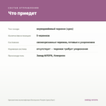 Хризантема мультифлора Branqueen Purple (срез/5шт) — что приедет