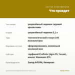 Хризантема мультифлора Branqueen Yellow (0,1л) — что приедет