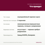 Хризантема мультифлора Branroyal Pink (срез/5шт) — что приедет
