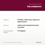 Хризантема мультифлора Branroyal Pink (срез/5шт) — как укоренить черенок