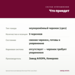 Хризантема мультифлора Branroyal Pink (срез/5шт) — что приедет