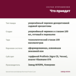 Хризантема мультифлора Branroyal Purple (0,1л) — что приедет
