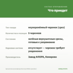 Хризантема мультифлора Branroyal White (срез/5шт) — что приедет