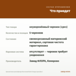 Хризантема мультифлора Bransound Dark Orange (срез/5шт) — что приедет