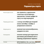 Хризантема мультифлора Bransound Dark Orange (срез/5шт) — параметры сорта