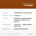 Хризантема мультифлора Bransound Dark Orange (срез/5шт) — что приедет