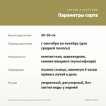 Хризантема мультифлора Bransound Lemon (0,1л) — параметры сорта