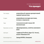 Хризантема мультифлора Bransound Magenta (0,1л) — что приедет