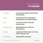 Хризантема мультифлора Bransound Pink (0,1л) — что приедет