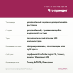 Хризантема мультифлора Elated Purple (0,1л) — что приедет