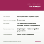 Хризантема мультифлора Elated Purple (срез/5шт) — что приедет