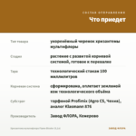 Хризантема мультифлора Flame Bicolor (0,1л) — что приедет