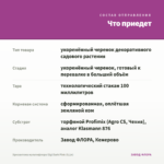 Хризантема мультифлора Gigi Dark Pink (0,1л) — что приедет