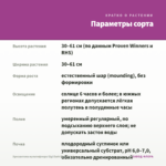 Хризантема мультифлора Gigi Dark Pink (0,1л) — параметры сорта