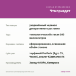 Хризантема мультифлора Gigi Dark Pink (0,1л) — что приедет