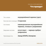 Хризантема мультифлора Gigi Gold (срез/5шт) — что приедет