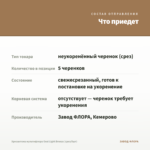 Хризантема мультифлора Goal Light Bronze (срез/5шт) — что приедет