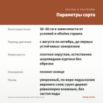 Хризантема мультифлора Goal Orange (0,1л) — параметры сорта