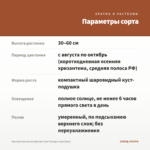Хризантема мультифлора Goal Orange (срез/5шт) — параметры сорта