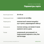 Хризантема мультифлора Jump White (0,1л) — параметры сорта
