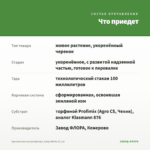 Хризантема мультифлора Jump White (0,1л) — что приедет