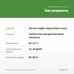 Хризантема мультифлора Jump White (срез/5шт) — как укоренить черенок