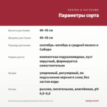 Хризантема мультифлора Meridian Cherry Red (0,1л) — параметры сорта