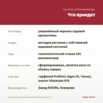 Хризантема мультифлора Meridian Cherry Red (0,1л) — что приедет