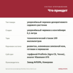 Хризантема мультифлора Meridian Cherry Red (0,1л) — что приедет