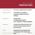 Хризантема мультифлора Meridian Cherry Red (срез/5шт) — параметры сорта