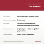 Хризантема мультифлора Meridian Cherry Red (срез/5шт) — что приедет