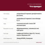 Хризантема мультифлора Power Red (0,1л) — что приедет