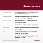 Хризантема мультифлора Power Red (0,1л) — параметры сорта