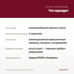 Хризантема мультифлора Power Red (срез/5шт) — что приедет