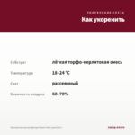 Хризантема мультифлора Power Red (срез/5шт) — как укоренить черенок