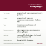 Хризантема мультифлора Sunbeam Lucky Purple (0,1л) — что приедет