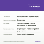 Хризантема мультифлора Sunbeam Lucky Purple (срез/5шт) — что приедет