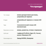 Хризантема Мультифлора Sweet Pink (0,1л) — что приедет
