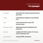 Хризантема мультифлора Volley Red (0,1л) — что приедет