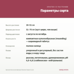 Хризантема мультифлора Жаклин Корал (0,1л) — параметры сорта