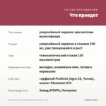 Хризантема мультифлора Жаклин Корал (0,1л) — что приедет