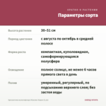 Хризантема мультифлора Жаклин Корал (0,1л) — параметры сорта