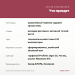 Хризантема мультифлора Жаклин Корал (0,1л) — что приедет