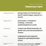 Ипомея батат Blackie (0,1л) — параметры сорта