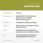 Ипомея батат Blackie (0,1л) — параметры сорта